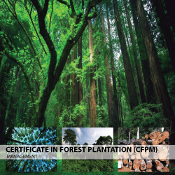 Certificate in Forest Plantation Management (CFPM)