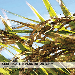 Certificate in Plantation Industry Management (CPIM)