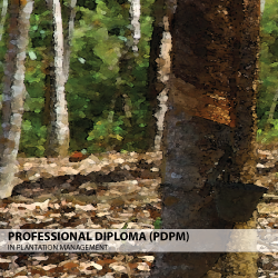 Professional Diploma in Plantation Management (PDPM)